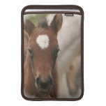 Horse Baby  11" MacBook Sleeve