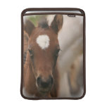 Horse Baby  13" MacBook Sleeve