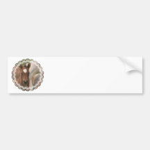 Horse Baby Bumper Sticker