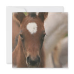 Horse Baby Invitation