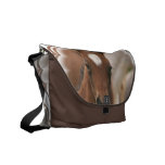 Horse Baby  Messenger Bag
