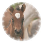 Horse Baby Sticker