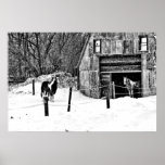 Horse-Barn-BW Print