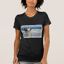 Horse Beach Black Ladies T-Shirt