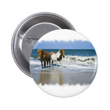 Horse Beach Button