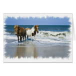 Horse Beach Greeting Card