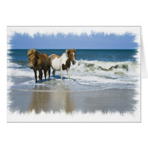 Horse Beach Greeting Card