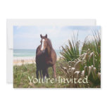 Horse Beach Invitation