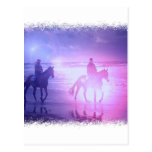 Horse Beach Walk Postcard