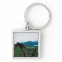 Horse behind fence keychain