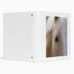 Horse Binder