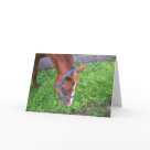 postcard - 