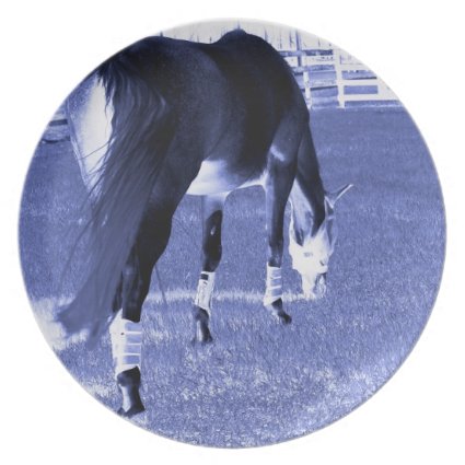 horse blue grazing in equine image party plate