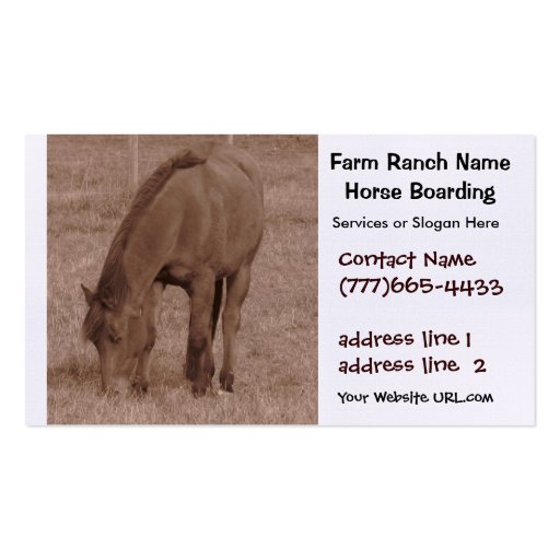 Horse  Boarding or Stables Business Card Template (front side)