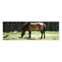Horse Bookmark business cards by Country1969 Horse Bookmark business cards