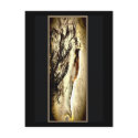 Horse Bookmark Postcard