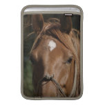 Horse Breeds 11" MacBook Sleeve