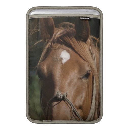 Horse Breeds 11" MacBook Sleeve