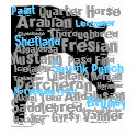 "Horse Breeds" ladies T t-shirts