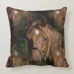 Horse Breeds Pillow
