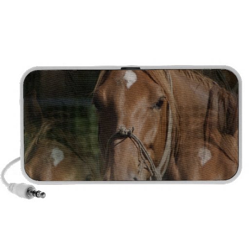 Horse Breeds Speakers