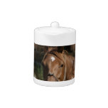 Horse Breeds Teapot