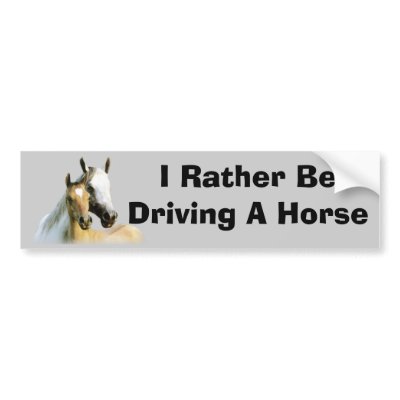 Horse Buddies Bumper Sticker by horsesense