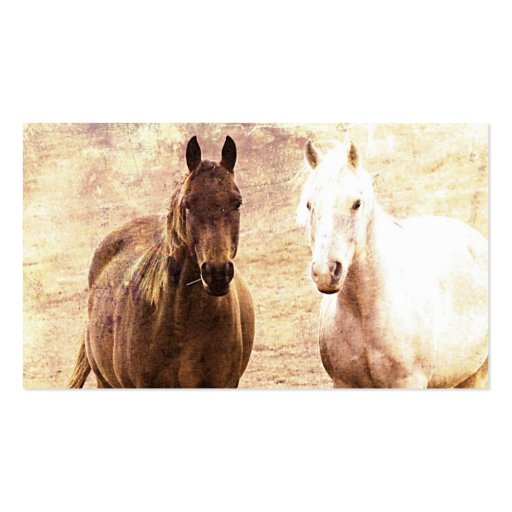 Horse Buddies Business Card Templates (back side)