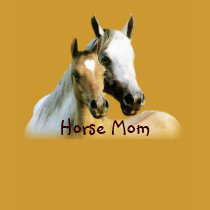 Horse Buddies Ladies T-Shirt