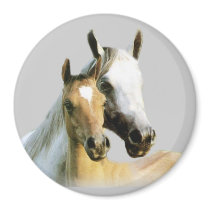 Horse Buddies Magnet by horsesense Horse Buddies Magnet