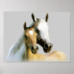 Horse Buddies Poster posters