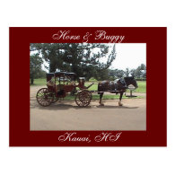Horse & Buggy, Kauai, HI Postcard