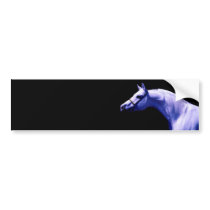 Horse Bumper Stickers