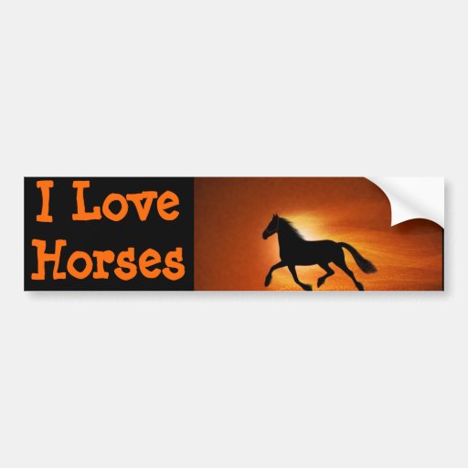 horse bumper sticker Zazzle