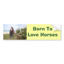 Horse Bumper Sticker Beach bumper stickers