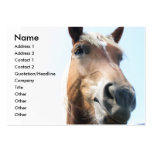Horse business cards