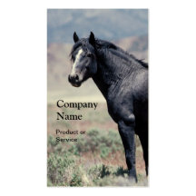 Horse business card
