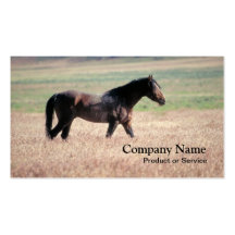 Horse business card