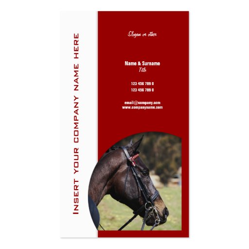 Horse business marketing business card templates (front side)