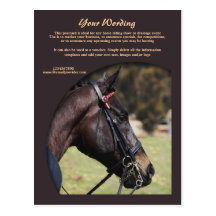 Horse business marketing postcard