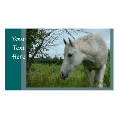 Horse Busininess cards Business Cards by Petcetera