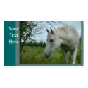 Horse Busininess cards business cards by Petcetera Horse Busininess cards business cards