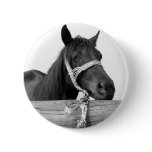 Horse Button