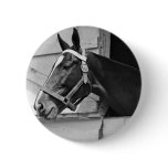 Horse buttons