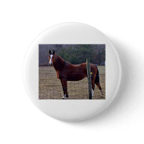 horse pin