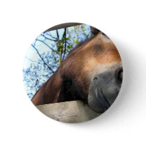 Horse buttons by pollop Horse buttons