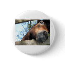 Horse buttons by pollop Horse buttons