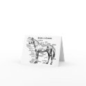 Horse cards