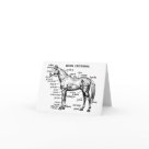 postcard - animals animal horse horses anatomy