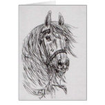 horse greeting cards